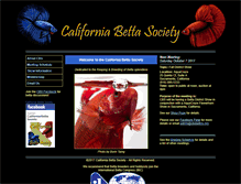 Tablet Screenshot of cbsbettas.org